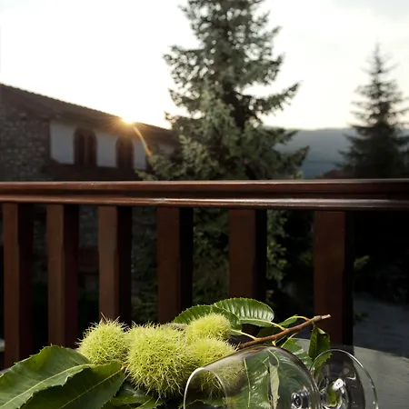 Fretzato Апарт-отель Elati (Trikala)